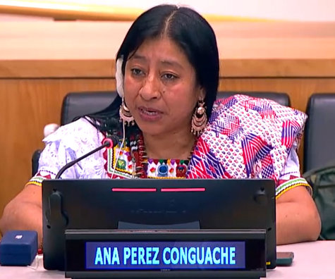 Mrs. Ana Pérez Conguache during her intervention at the panel.