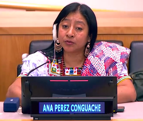 Mrs. Ana Pérez, Presidential Coordinator, Commission on Discrimination and Racism Against Indigenous Peoples (Guatemala).