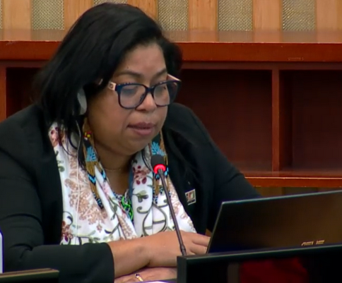 Mrs. Anexa Alfred, Chair of the Expert Mechanism on the Rights of Indigenous Peoples.