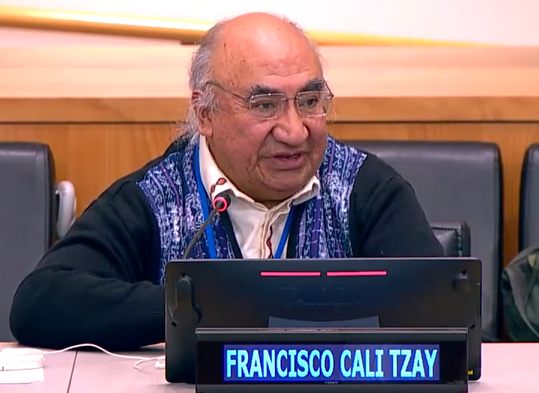 Francisco Calí Tzay during the roundtable with former Special Rapporteurs.
