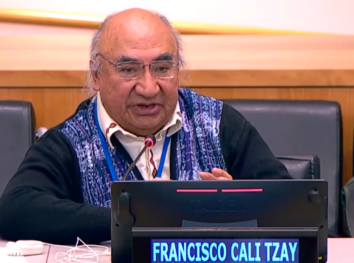 Mr. Francisco Calí Tzay in dialogue with the current Special Rapporteur.