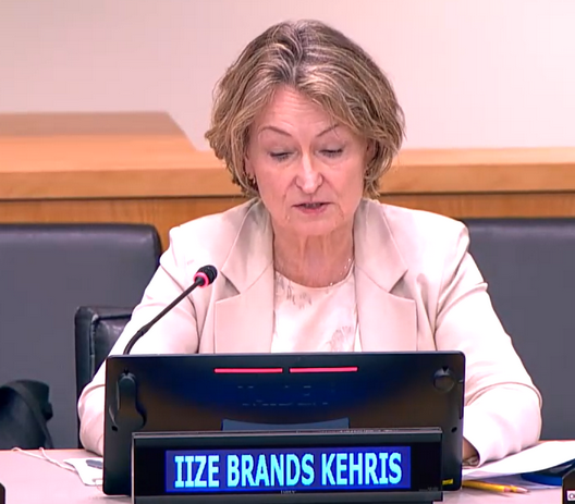 Ms. Ilze Brands Kehris, Assistant Secretary-General for Human Rights.