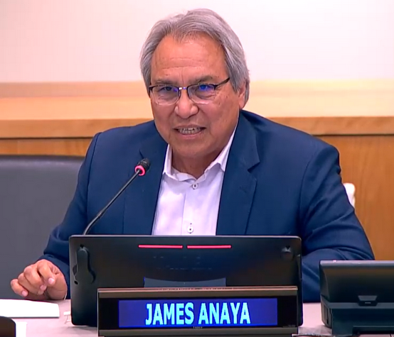 Professor James Anaya during his intervention at the roundtable.