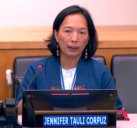 Ms. Jennifer Tauli-Corpuz during her intervention at the roundtable.
