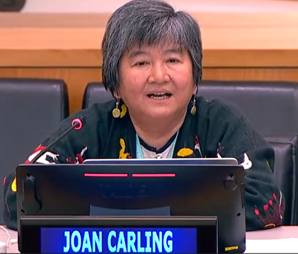 Ms. Joan Carling during her intervention on the criminalization of indigenous defenders.
