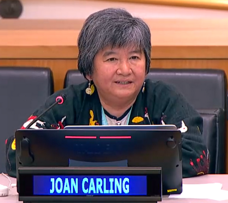 Ms. Joan Carling, Executive Director of Indigenous Peoples Rights International.