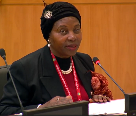 Honourable Dr. Litha Musyimi-Ogana during her intervention at the panel.