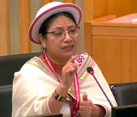 Ms. Mariana Yumbay, Member of the Parliament of Ecuador, during her intervention.