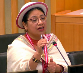 Mariana Yumbay, Member of the Parliament of Ecuador.