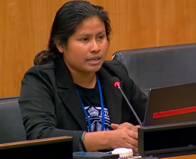 Ms. Sharida Reuben during her intervention at the panel.