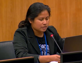 Ms. Sharida Reuben, Upper Mazaruni District Council, Guyana.
